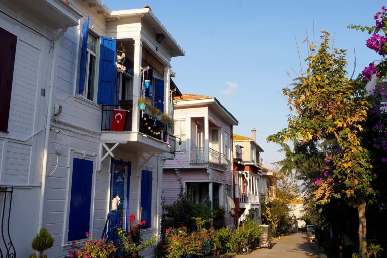 Buyukada Istanbul visit 768x511